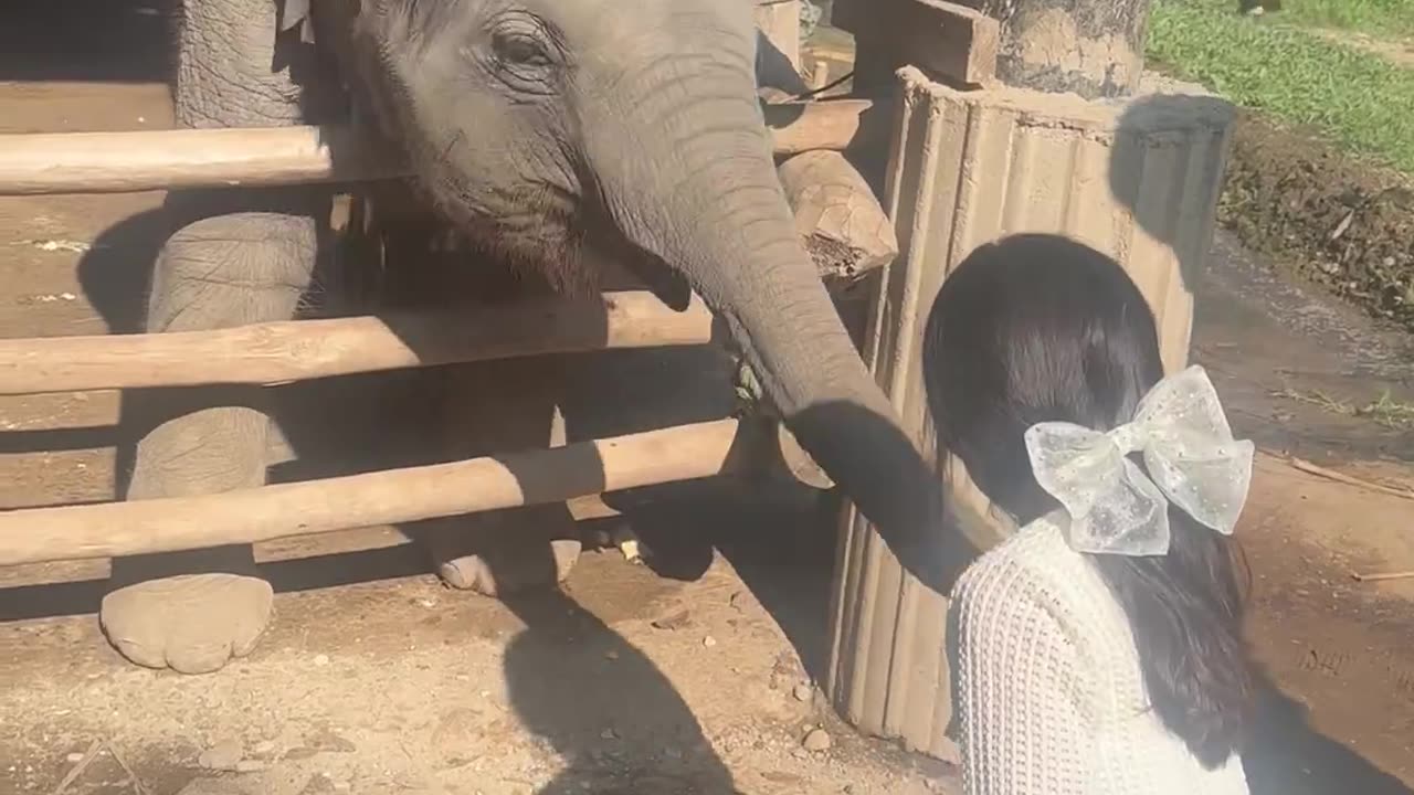 😂🐶 Girl, You Know That's Not What I Wanted! | FunFM