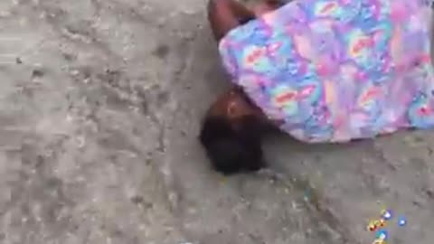 Watermelon Challenge: Idiots are Swapping Tide Pods for Concussion-Inducing Fruit