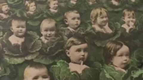 The Orphan Train Mystery: America’s Forgotten Experiment?