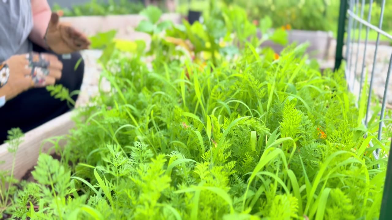 Addair's Farmhouse S1 EP 26 Garden Tour