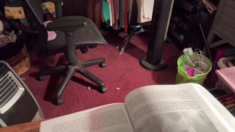 06/22/25 Gymnik VOD: "insomnia quiet stream opening new art supplies"