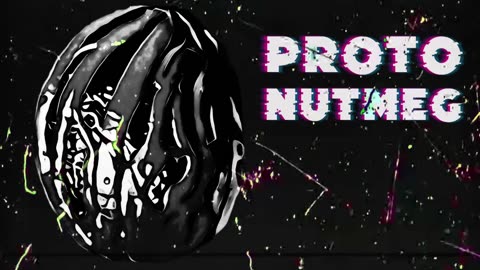299. PROTO NUTMEG