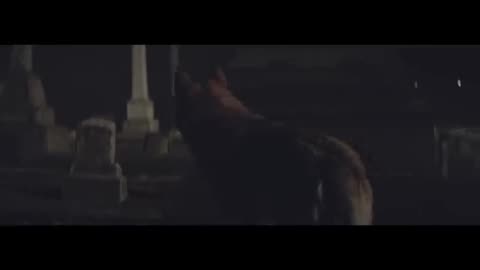 Yelawolf-Best-Friend-ft-Eminem_Music video