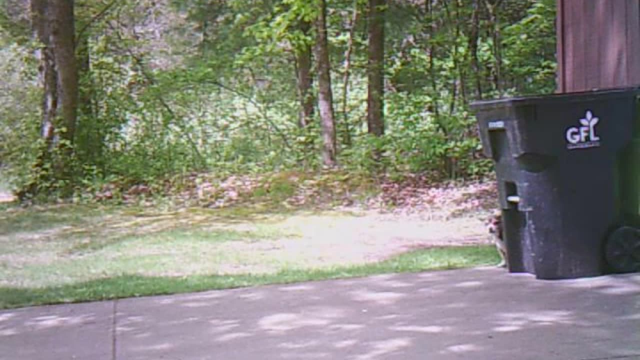 What happens in our driveway does not stay in the driveway