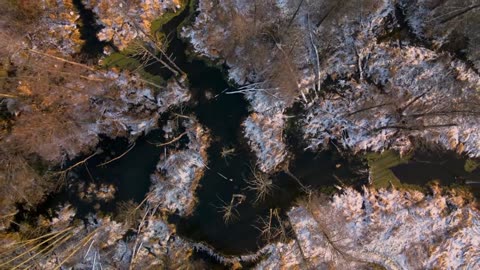 Late Desk Glow – Lofi House Mix