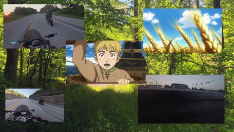 The vinland edit