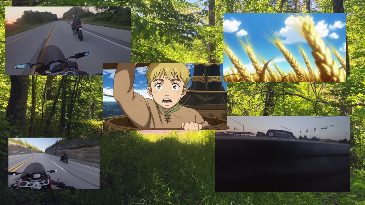 The vinland edit