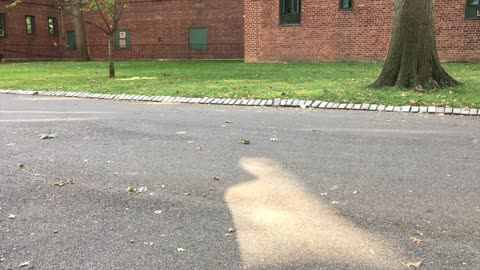 Some Black Folks Got to Act Out get EXTRA When They See Another Black Man On The Job