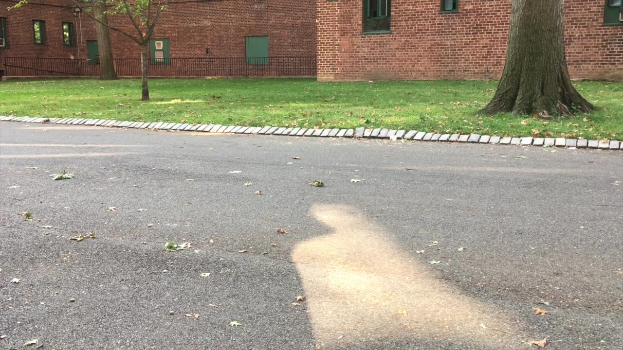 Some Black Folks Got to Act Out get EXTRA When They See Another Black Man On The Job