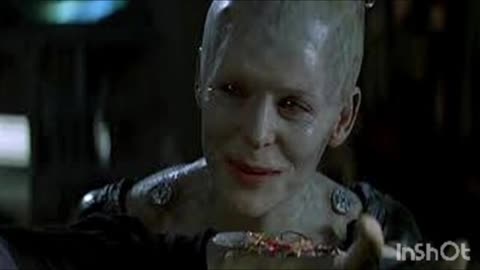 Would you fly a plane in a snow storm, ai