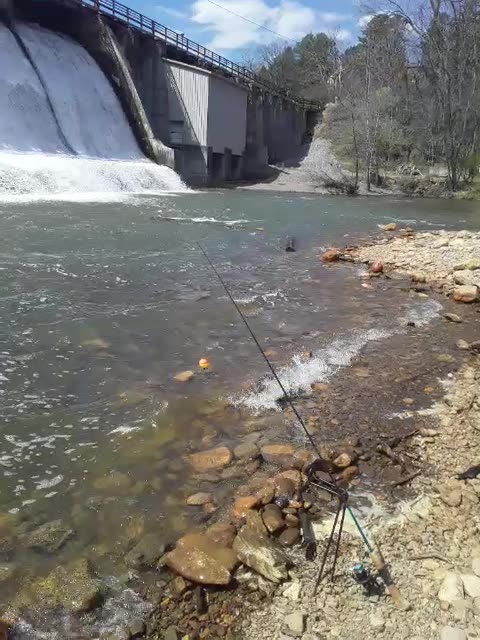 2 Logs came shooting out the Spillway Dam