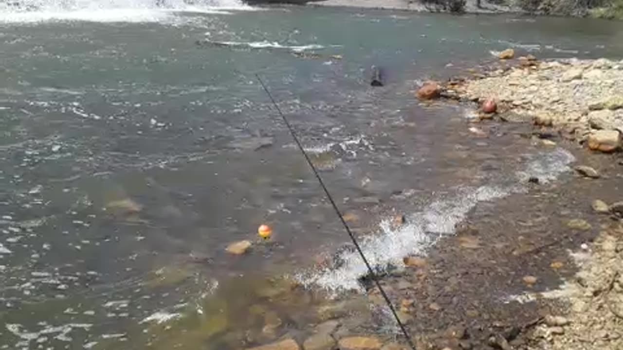 2 Logs came shooting out the Spillway Dam