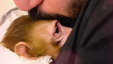 A man rescued a monkey on a rainy day and then adopted it 🐵 💛