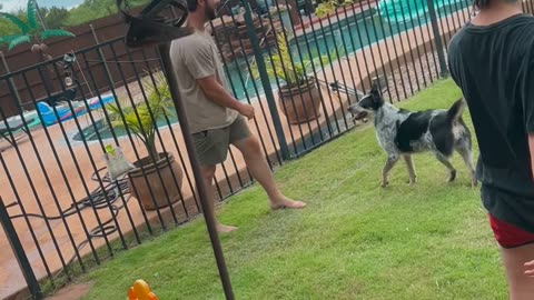 Fiance Accidently Tripped My Nephew