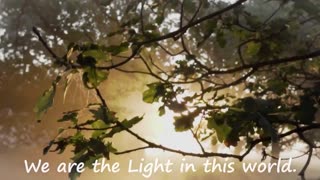 The Light of Whites