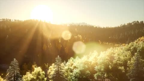 Stay Optimistic Music, Optimistic Sleeping Music, Yoga Music, Study Music, #stayoptimistic