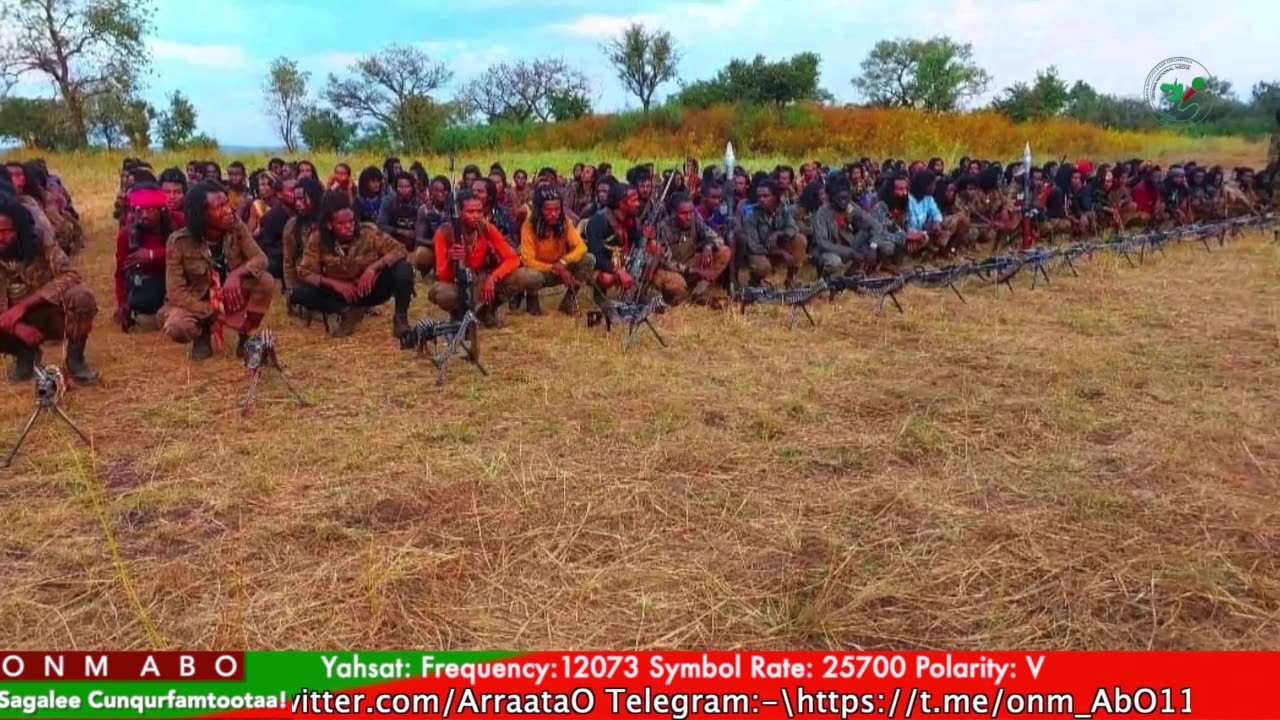 Gabaasa Tarkaanfii ONM-ABO Adoolessa 18-2025 itti dhiyaadhaa!