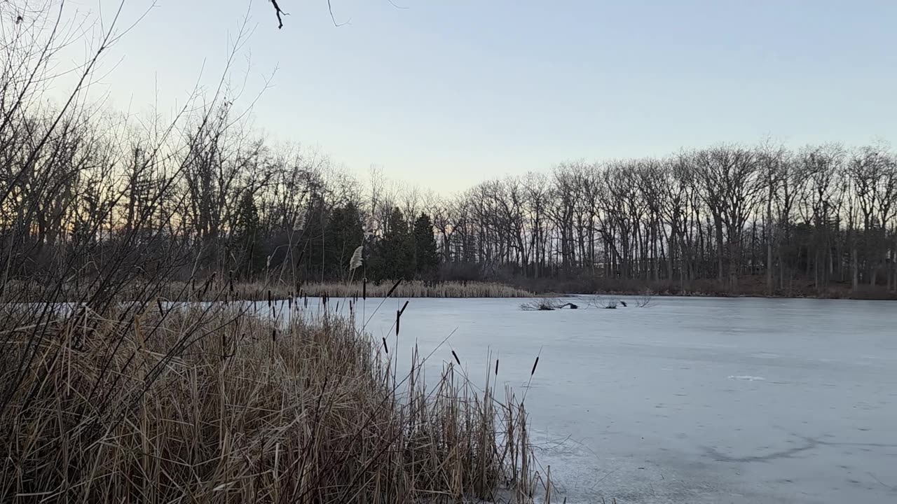 Frozen Neighborhood Pond