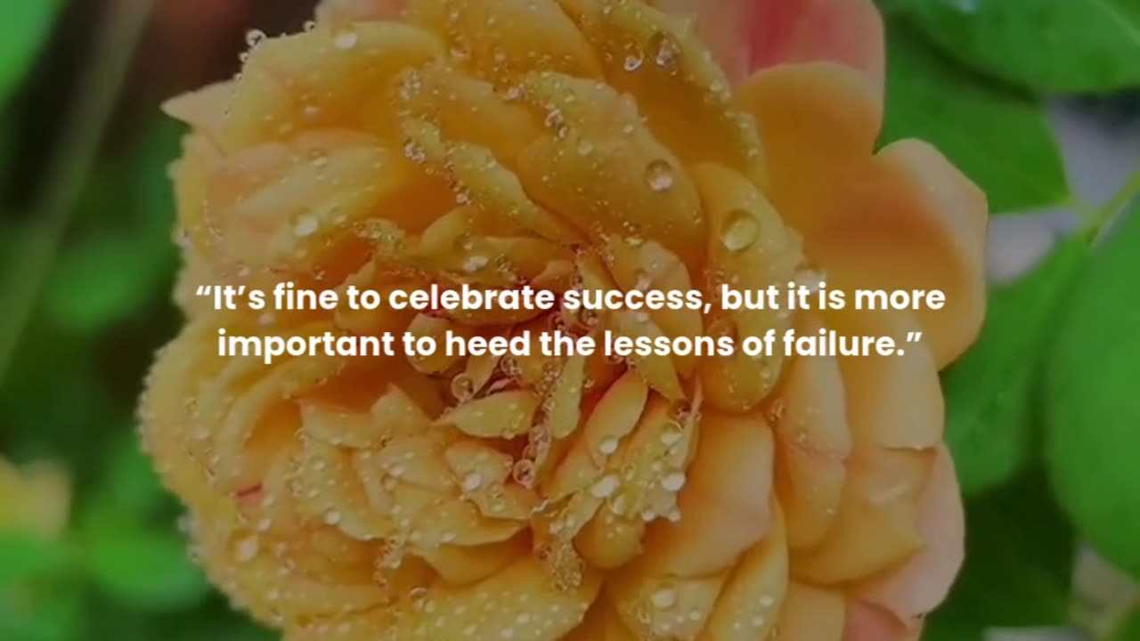 It’s fine to celebrate success, but it is more important to heed the lessons of failure.