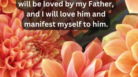 Journey of faith and spiritual growth John 14:21 Daily Bible Verse