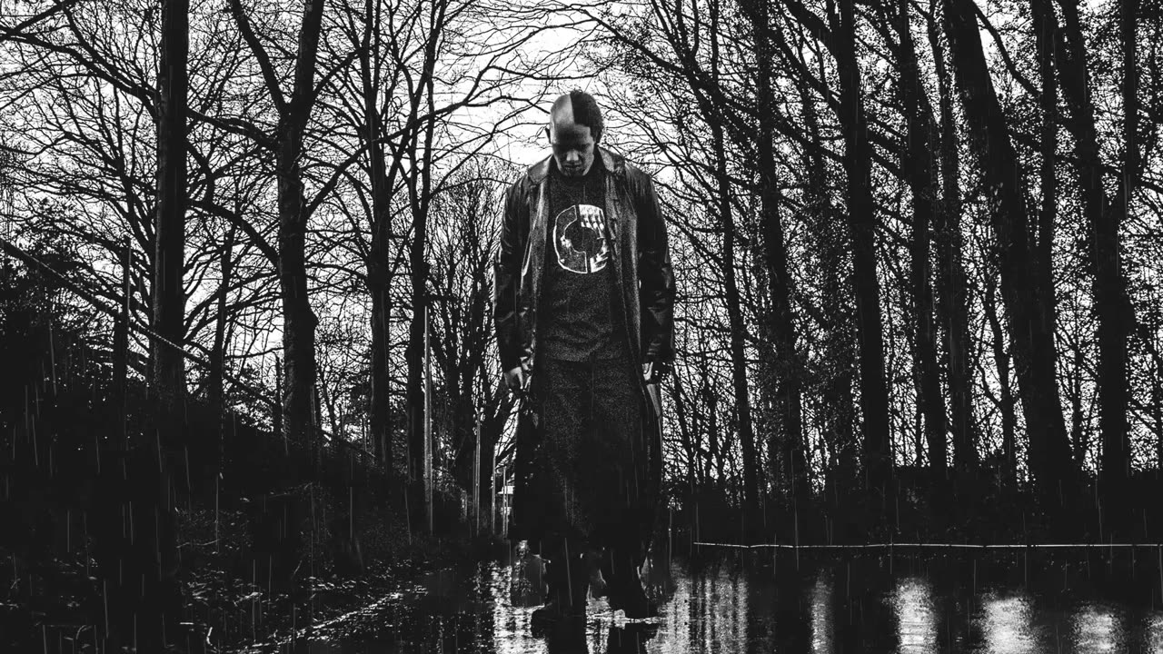 White Noise