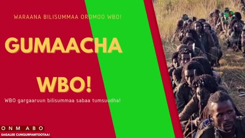 Gabaasa Gumaacha ONM-ABO Onkoloolessa 17-2025 itti dhiyaadhaa!