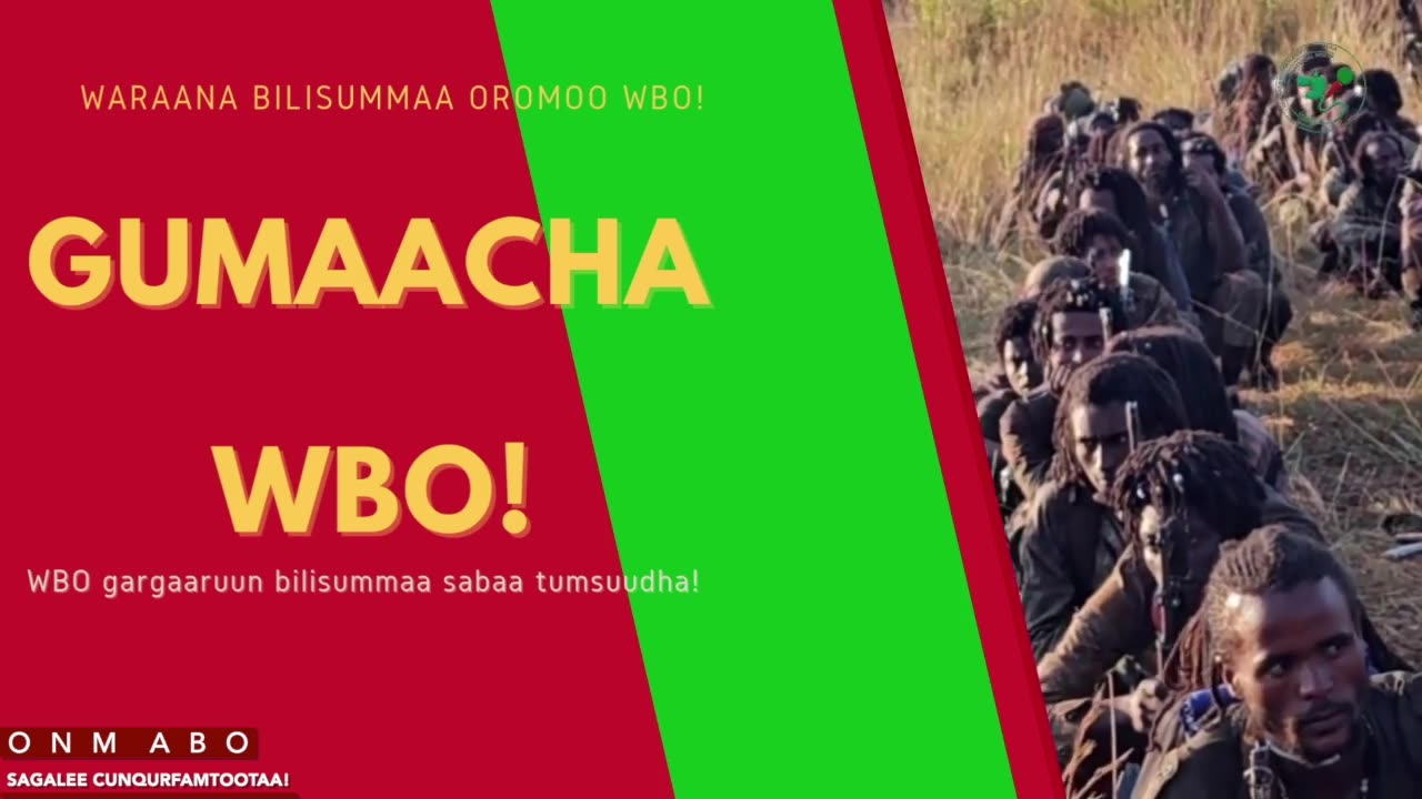Gabaasa Gumaacha ONM-ABO Onkoloolessa 17-2025 itti dhiyaadhaa!