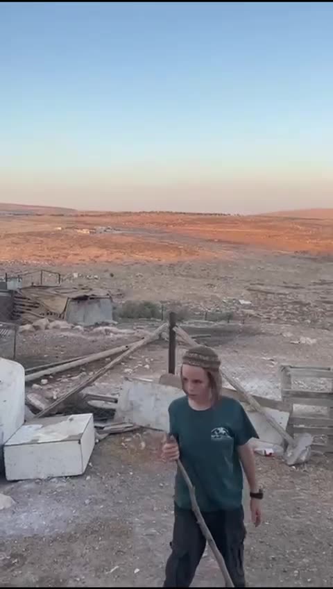 Teenage 1sraeli settlers backed by the IOF storm the land of Pale$tinian Bedouins