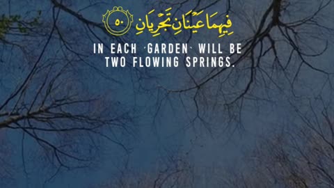 Two Gardens or Burning Fire? | Surah Rahman 45–53 | Divine Choices Explained