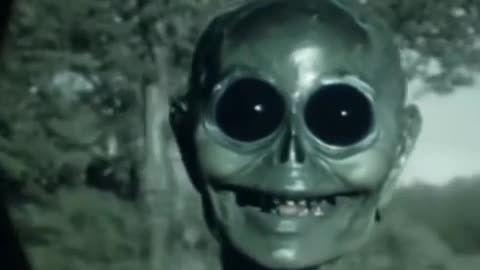 😈👹 They Look Friendly, Get Closer! | TheHauntingHour