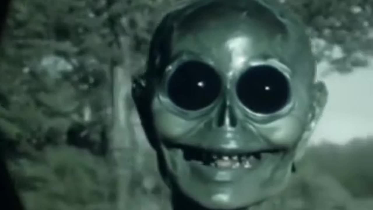 😈👹 They Look Friendly, Get Closer! | TheHauntingHour