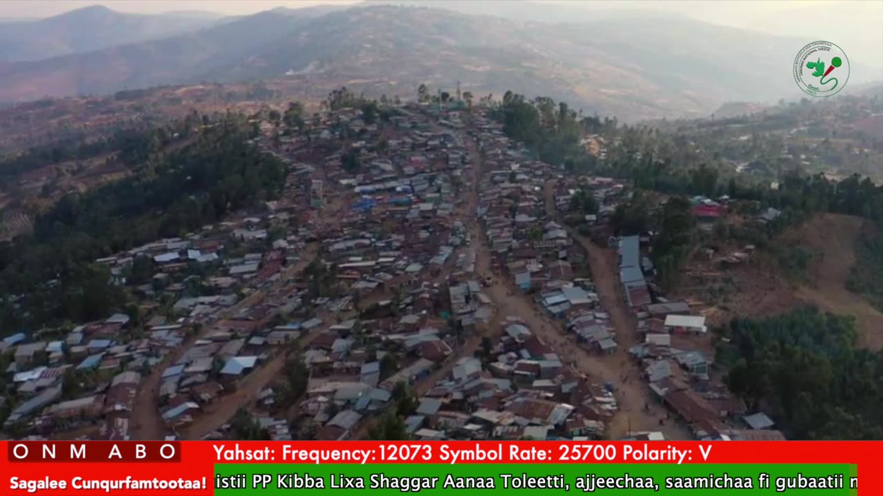 Oduu Waaree ONM-ABO Caamsaa 13-2025 itti dhiyaadhaa!