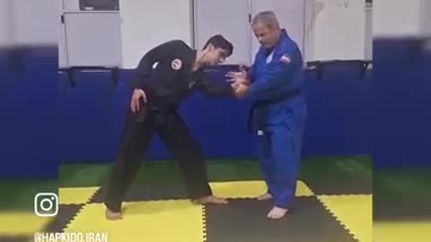 Hapkido