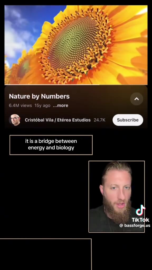 Nature By Numbers-The Fibonacci Hack