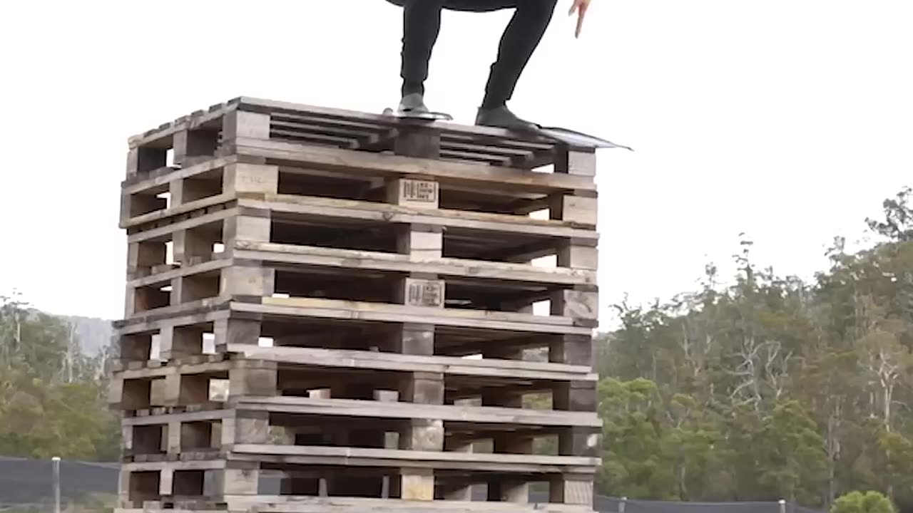 If animals did Parkour 😂