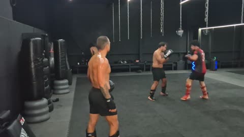Sparday 42