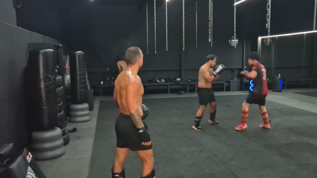 Sparday 42
