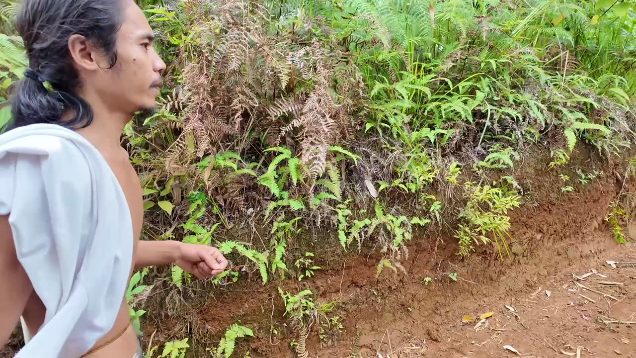LOGAN ARRIVES! PHILIPPINES! WALKING THROUGH THE PROMISED LAND. Scoping out the seller lady's land.