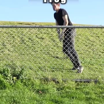 How Animals Get Over a Fence (With Emojis) 😂