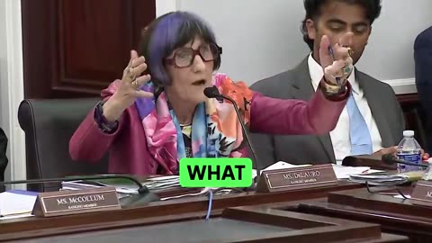 Unhinged purple-haired Democrat SCREAMS at Pete Hegseth during budget hearing