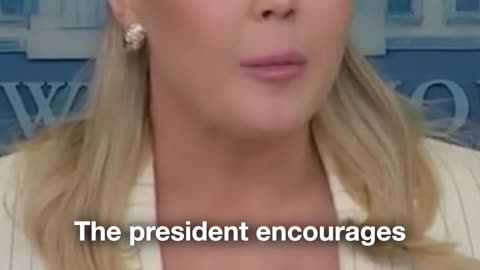 Karoline Leavitt says she and President Trump personally reviewed newly released FBI