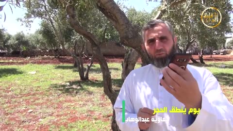 خواطر شامية يوم ينطق الحجر !