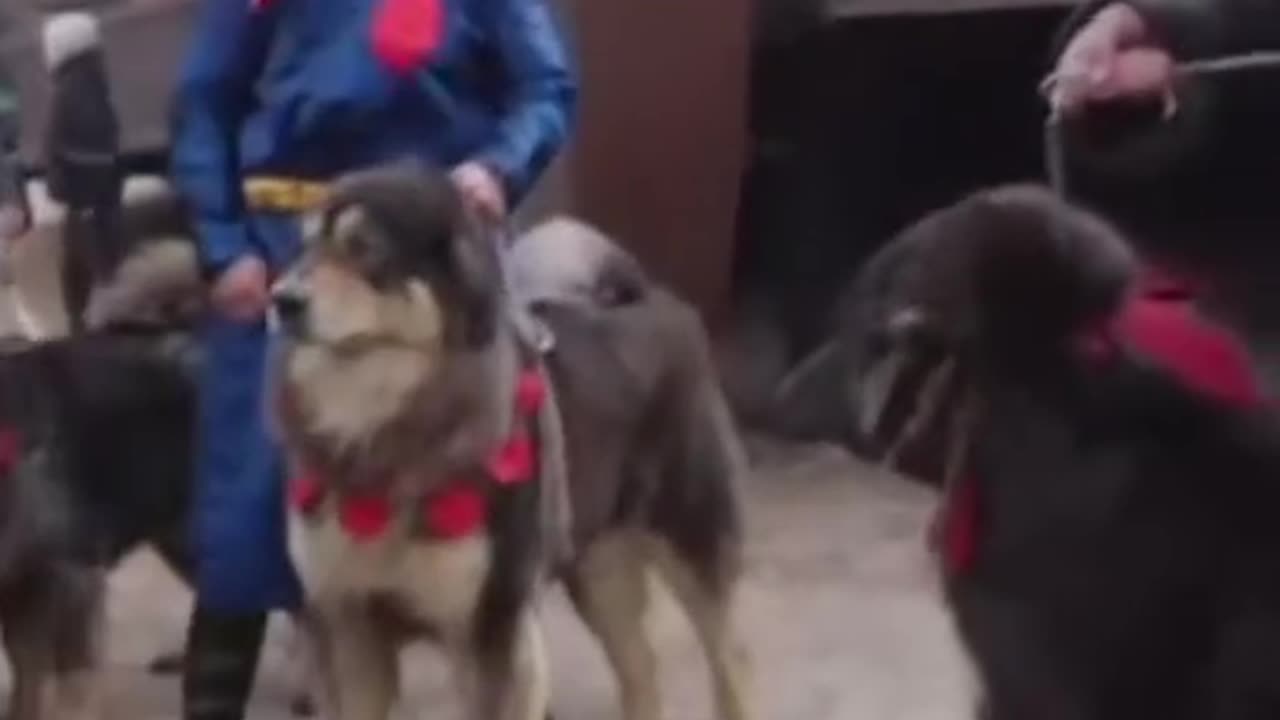ISHOWSPEED does a BARK OFF with a MONGOLIAN DOG #Ishowspeed