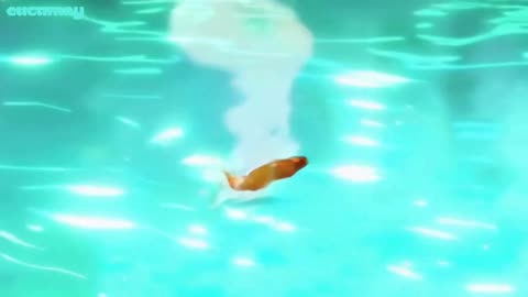 Fish in the Pond Become Smoked Fish Seller