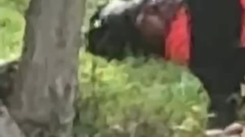 Dead body on the nawf