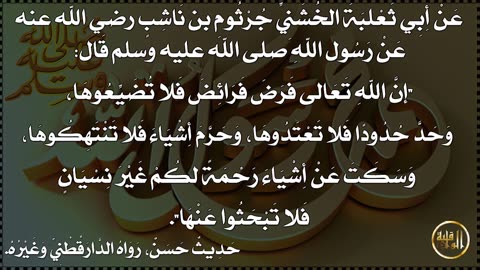 وما ينطق عن الهوى 14 فلا تضيعو