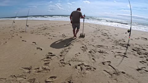 How to Catch Sand Fleas