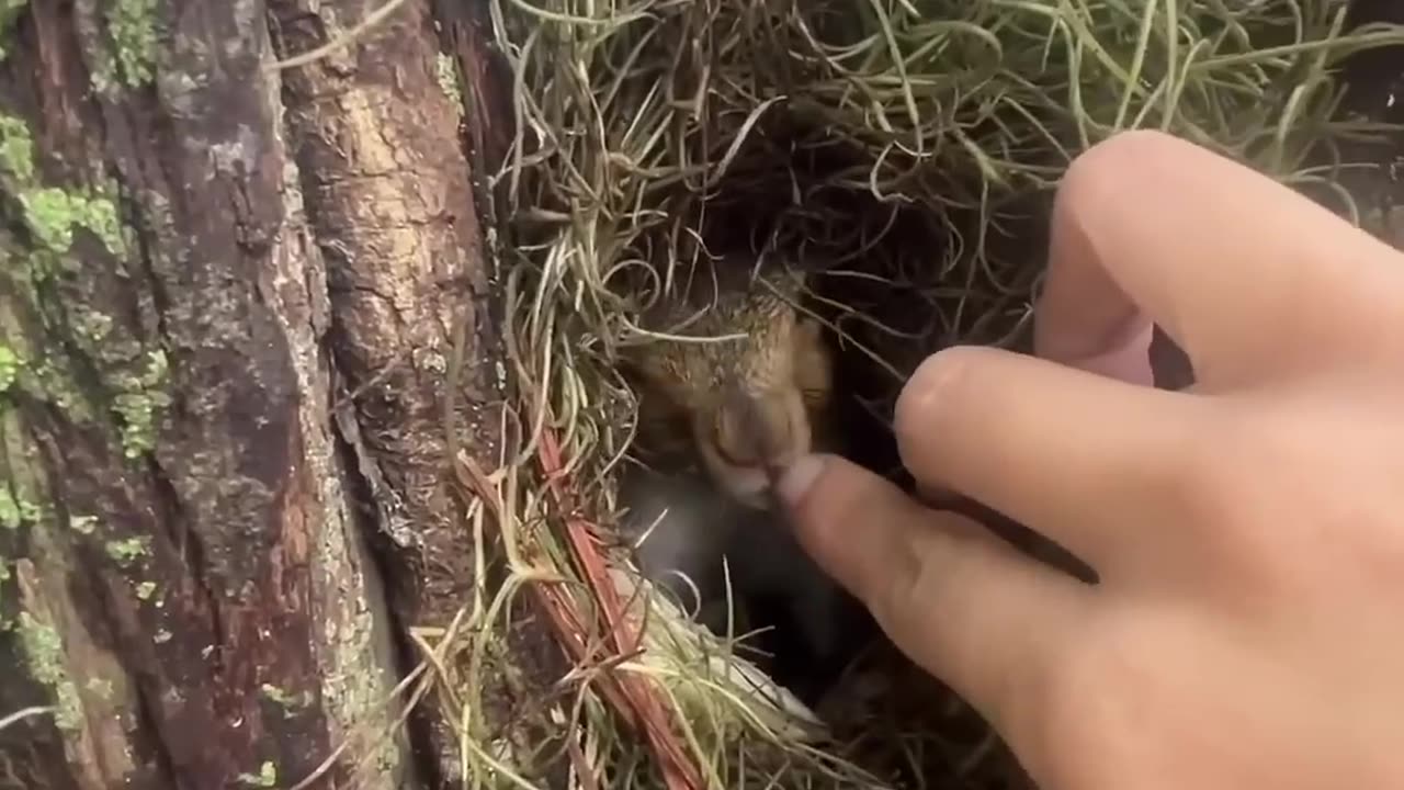 Squirrel wants to show me something...