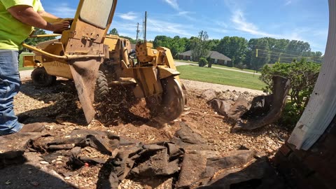 Stump Removal job in Madison, Alabama