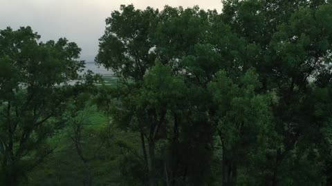 sun rise